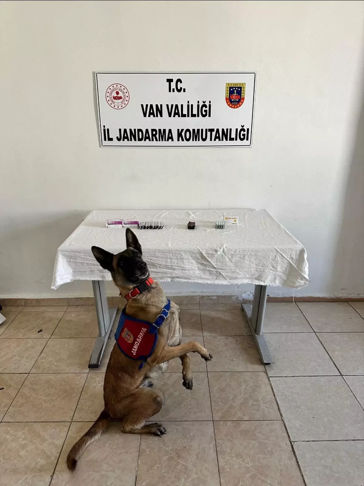 ipekyolunda uyusturucu operasyonu 380 hap ele gecirildi dvFNNi2z