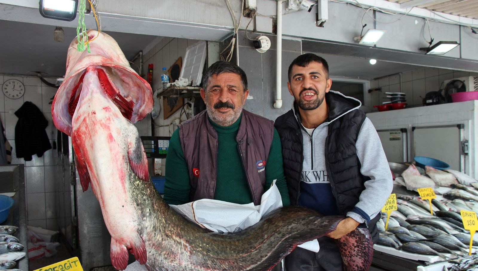 kilosu 250 liradan satisa sunuldu tam 85 kilogram agirliginda XzE68XP7