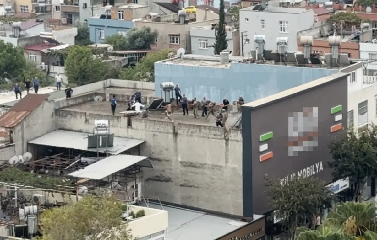 polise bicakla saldiran sizofren etkisiz hale getirildi Mhbptm4E