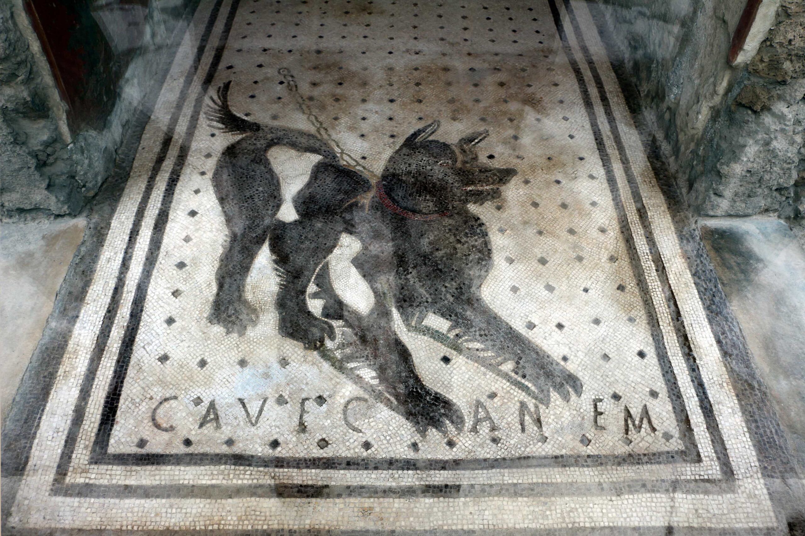 Cave Canem Mozaik