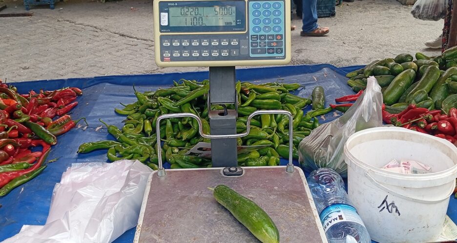 Salatalık Fiyatları Şaşkınlık Yarattı: Tanesi 11 Lira!